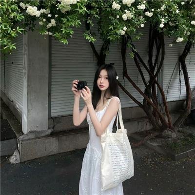 风流神探