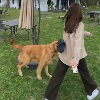 欧洲夜生活